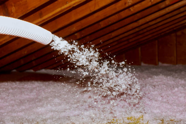Caro, MI Insulation Contractor Company