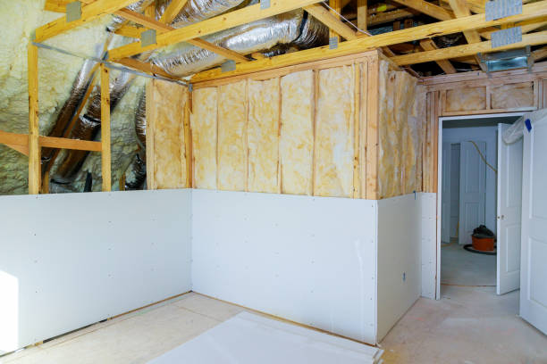Best Insulation Maintenance and Repair in Caro, MI