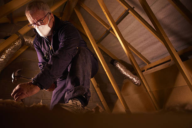 Best Cellulose Insulation in Caro, MI