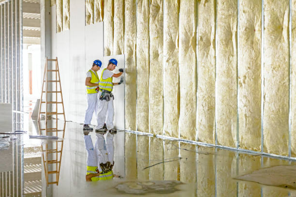 Best Eco-Friendly Insulation in Caro, MI